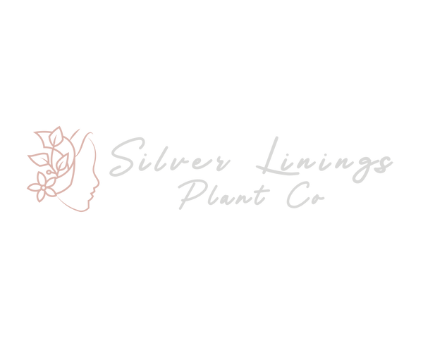 Silver Linings Plant Co